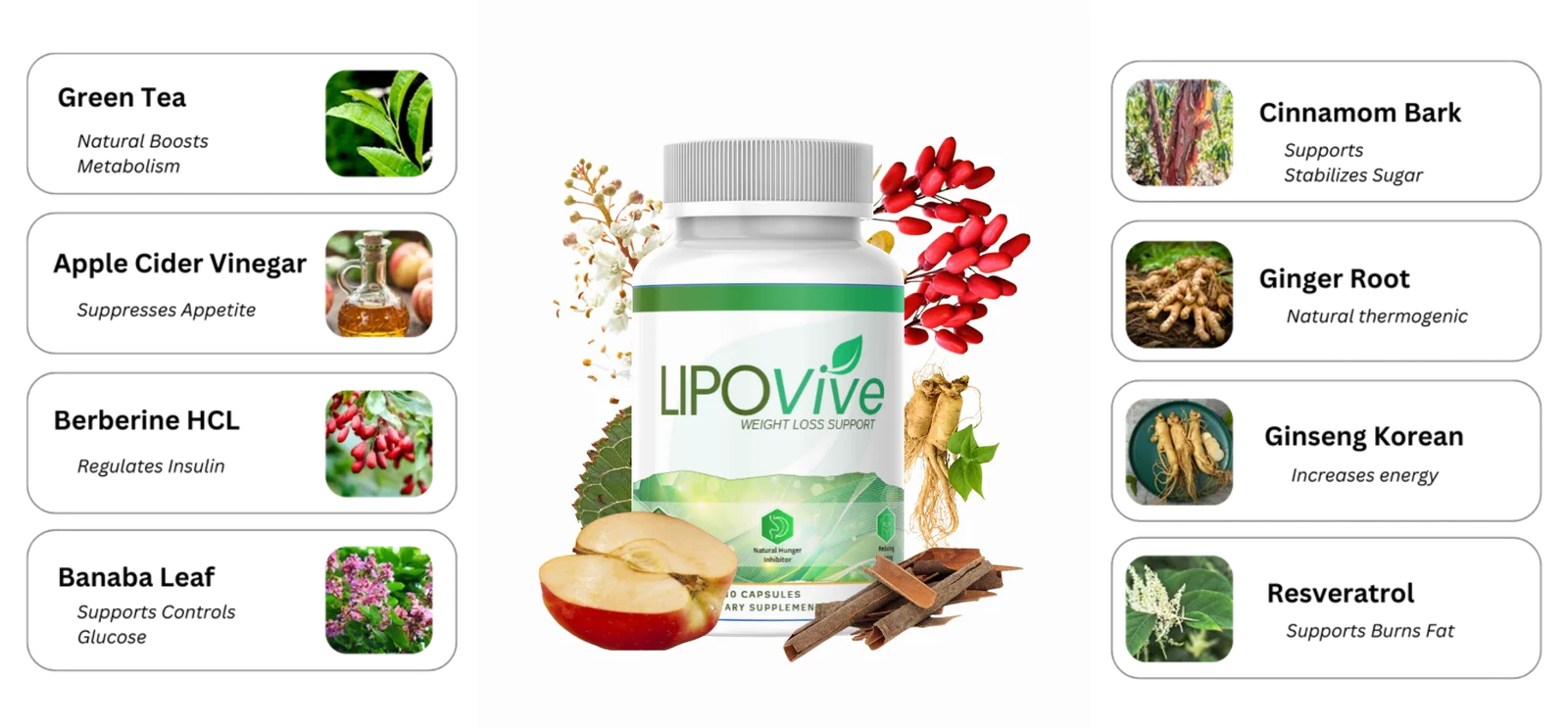 LipoVive capsule and ingredients